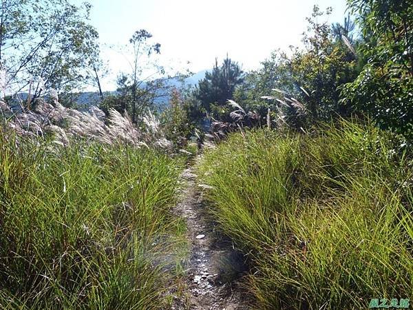 馬武霸山20141011 (140)
