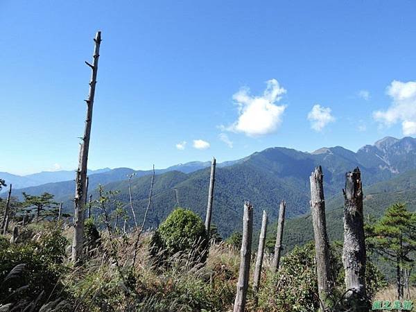 馬武佐野郡山20141102(70)