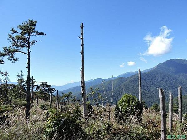 馬武佐野郡山20141102(71)