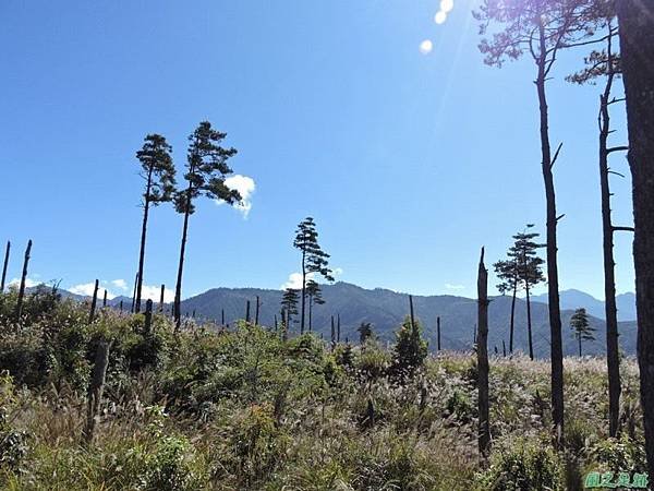 馬武佐野郡山20141102(73)