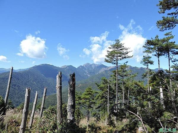 馬武佐野郡山20141102(80)