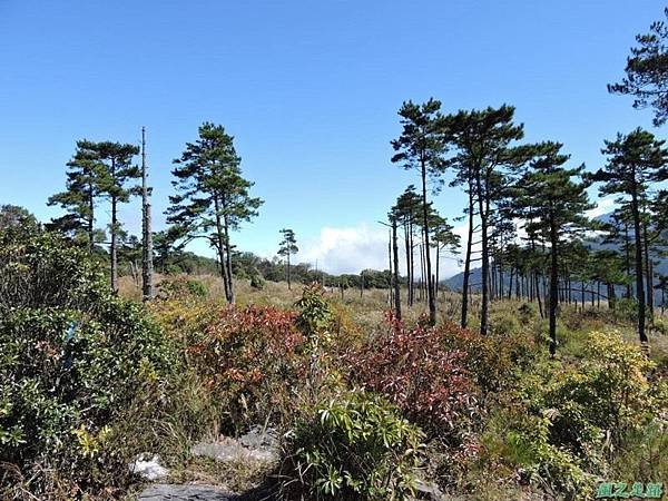 馬武佐野郡山20141102(92)