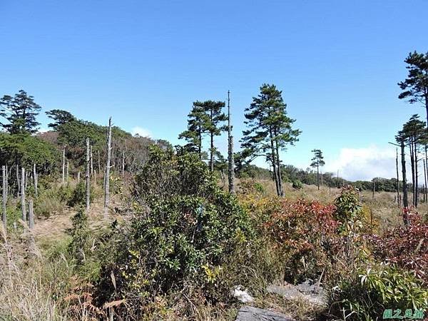 馬武佐野郡山20141102(93)