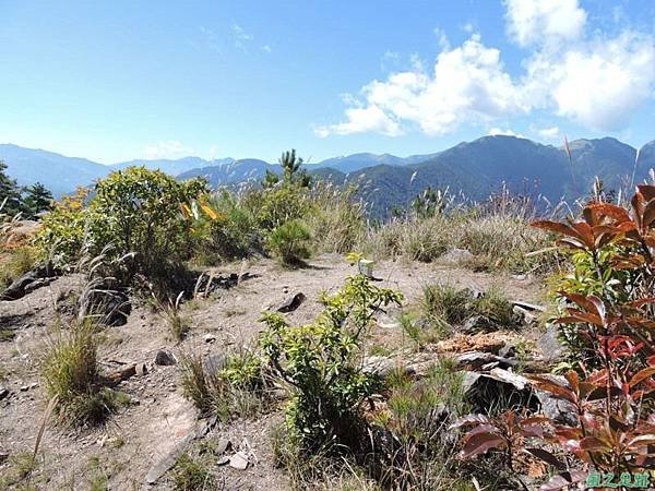 馬武佐野郡山20141102(104)