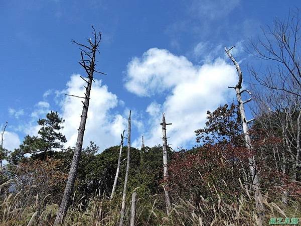 馬武佐野郡山20141102(105)