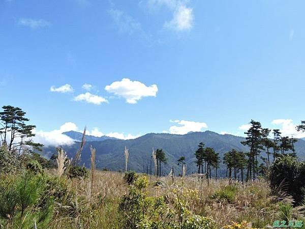 馬武佐野郡山20141102(106)