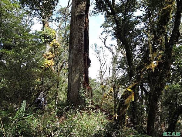 馬武佐野郡山20141102(122)