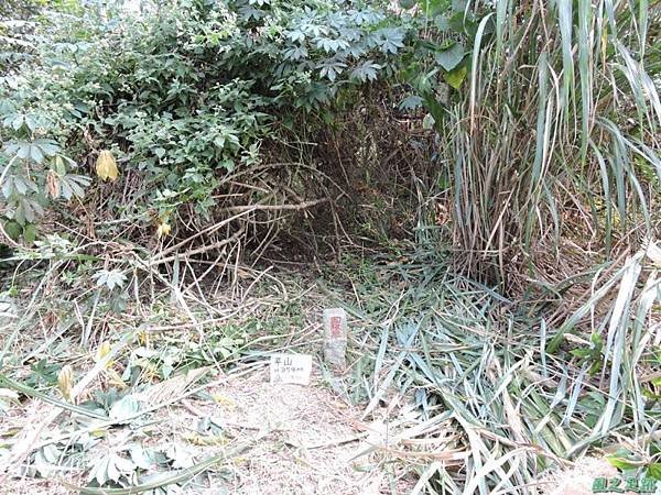 平山20141129(30)