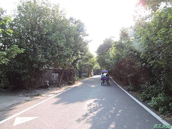 新屋綠色隧道自行車道(20)