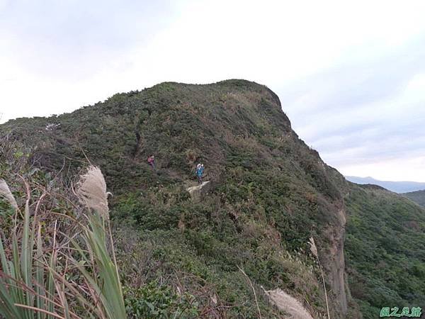 野柳駱駝稜線20150102(50)