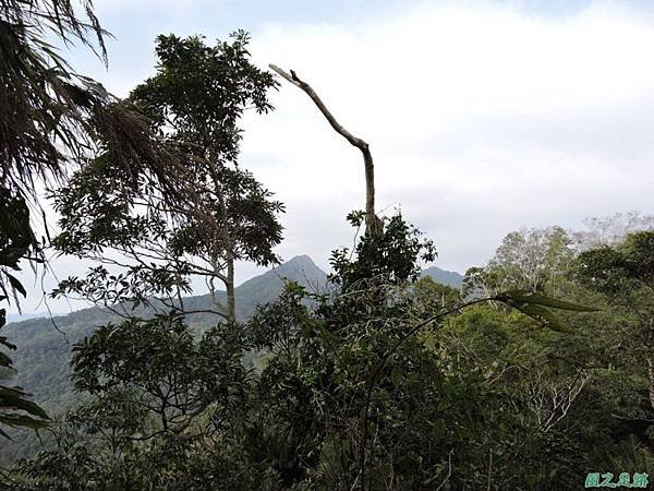 馬那邦山連走司令山(82)