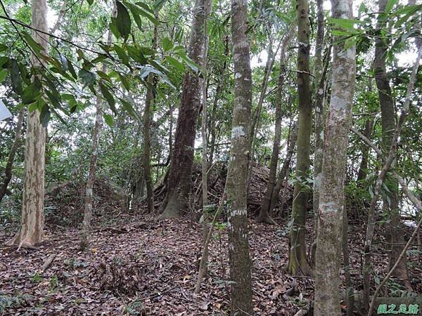 馬那邦山連走司令山(91)