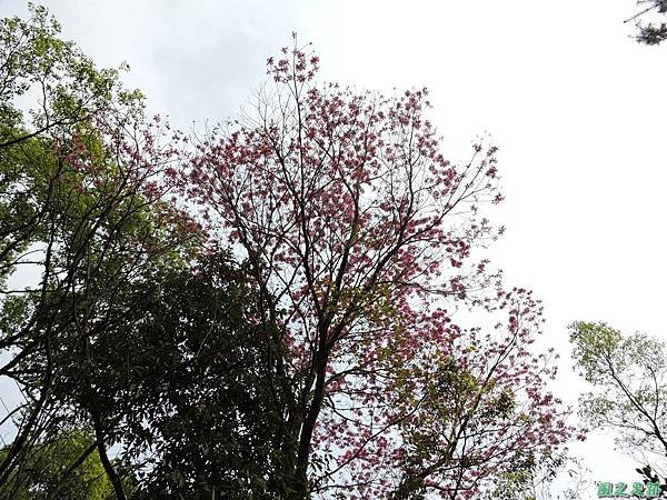 天冷山20150321(56)