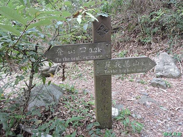 十文溪山20150613(8)