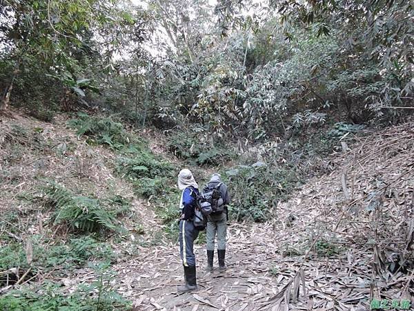 古坑觀音山20150131(10)