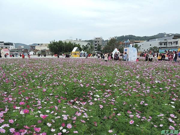 蘆竹花彩節20151220(60).JPG