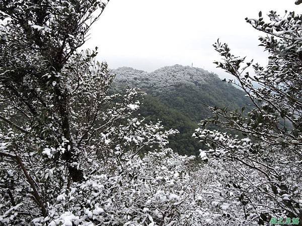佛陀世界高點雪景20160124(16)