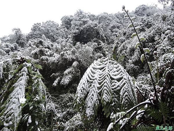 石牛山20160124(12)