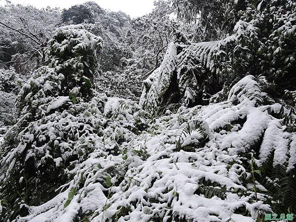 石牛山20160124(13)