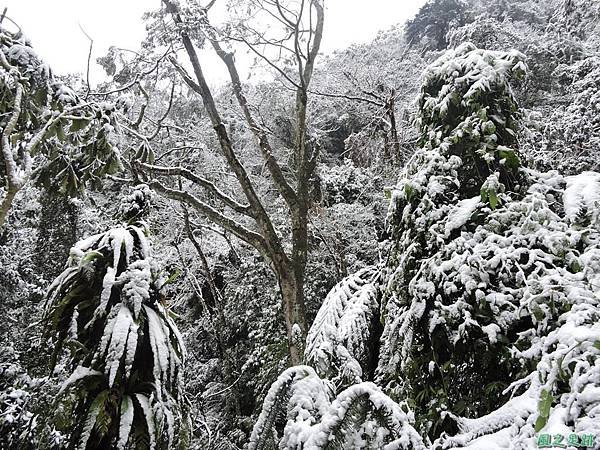 石牛山20160124(14)