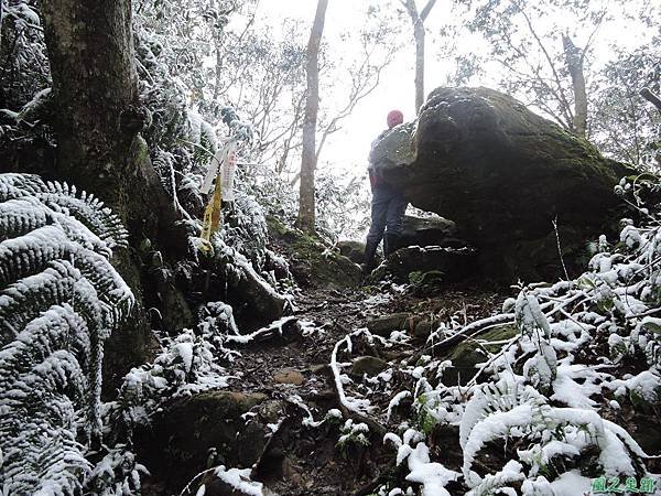 石牛山20160124(31)