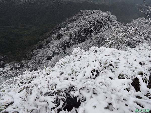 石牛山20160124(58)