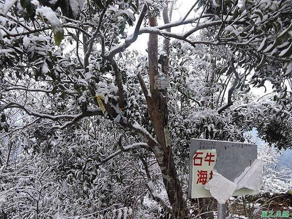 石牛山20160124(77)