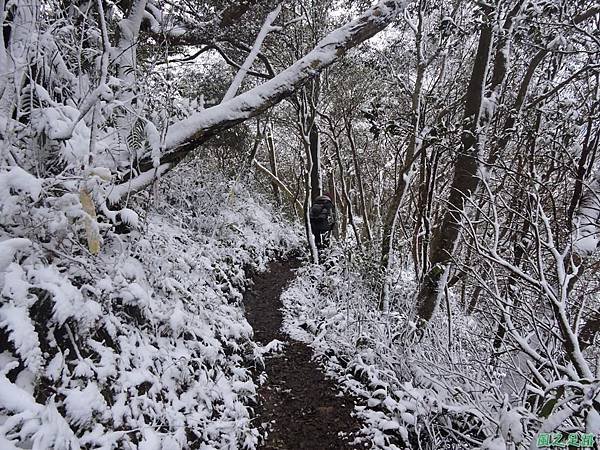 石牛山20160124(89)