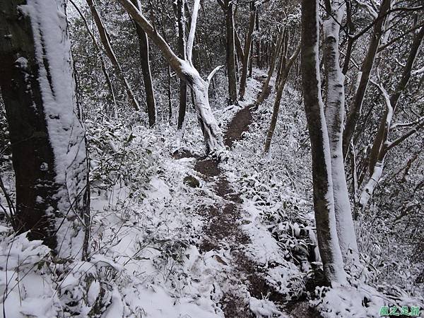 石牛山20160124(90)