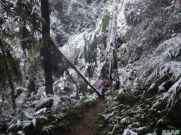 石牛山20160124(95)