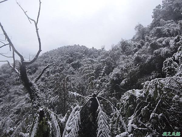 石牛山20160124(98)