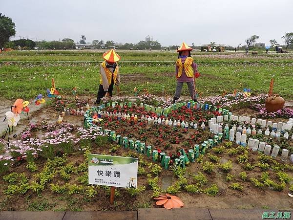 桃園彩色海芋節20170411(6)