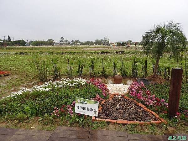 桃園彩色海芋節20170411(8)