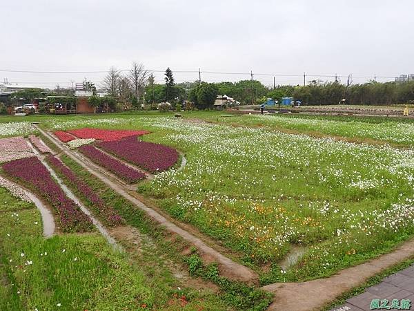 桃園彩色海芋節20170411(33)