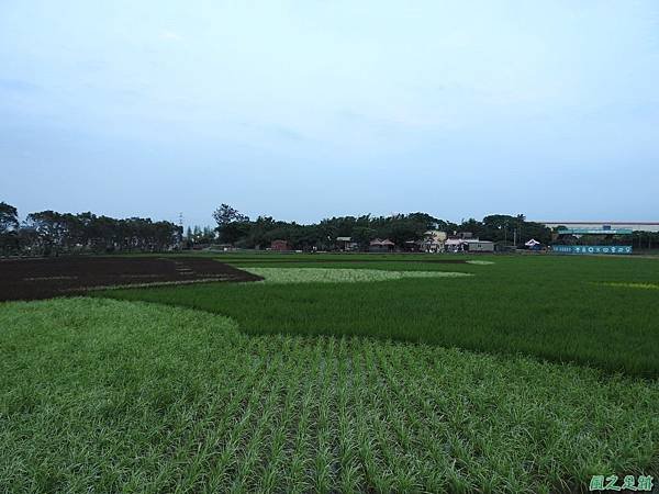 桃園農博會20170501(31)