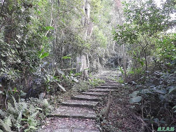 豐鄉國小神社20180101(27)