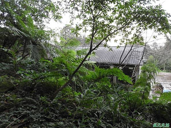 豐鄉國小神社20180101(33)