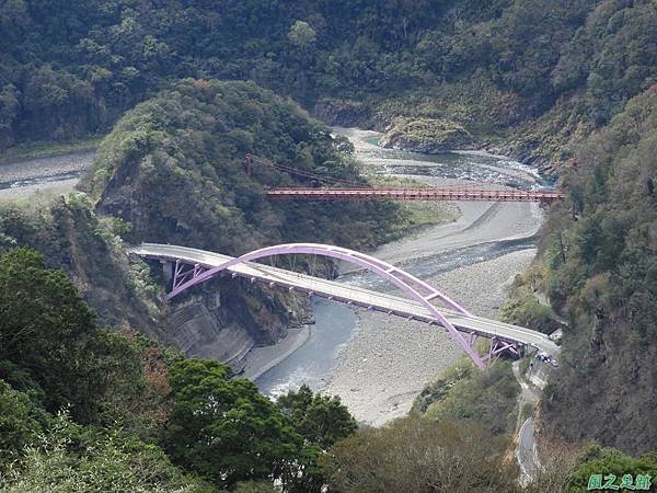 三龜戲水(巴陵橋)20190127(12).JPG