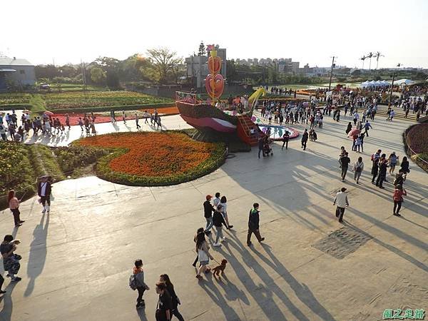 第三桃園彩色海芋季20190405(50).JPG