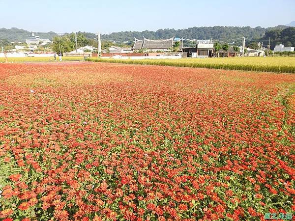 花彩節大溪場20191117(14).JPG