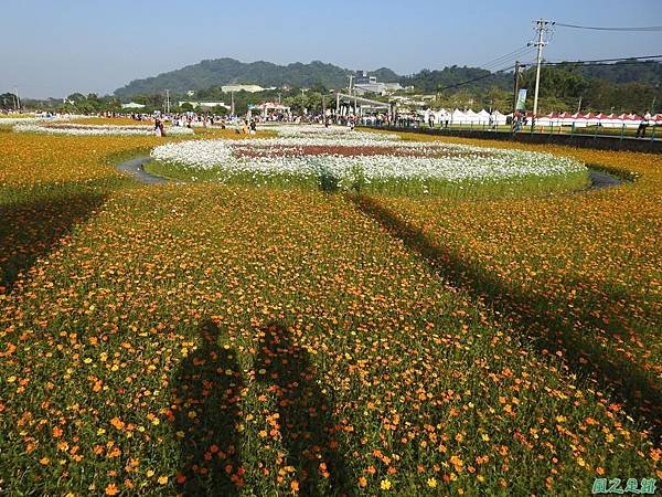 花彩節大溪場20191117(21).JPG