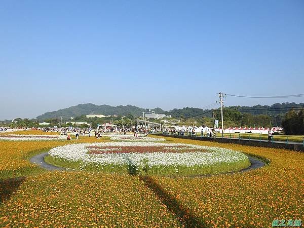 花彩節大溪場20191117(22).JPG