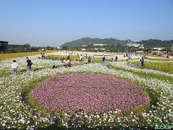 花彩節大溪場20191117(28).JPG