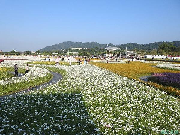 花彩節大溪場20191117(24).JPG