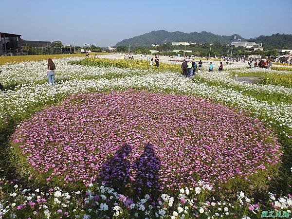 花彩節大溪場20191117(30).JPG