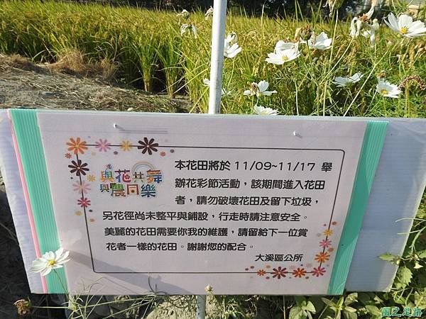 花彩節大溪場20191117(33).JPG