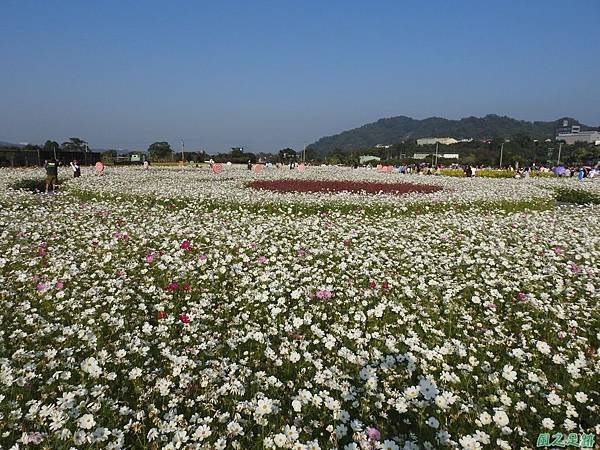 花彩節大溪場20191117(42).JPG