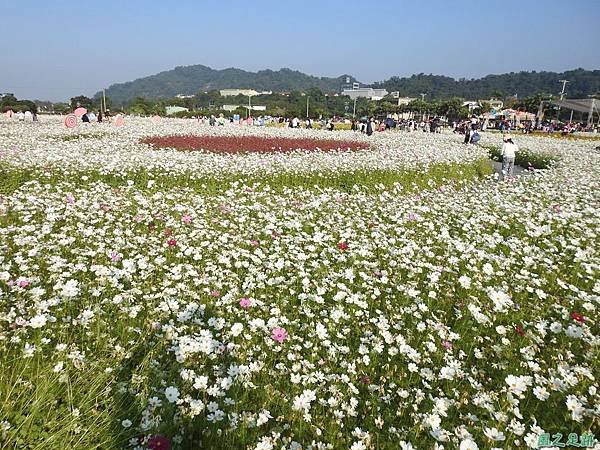 花彩節大溪場20191117(39).JPG