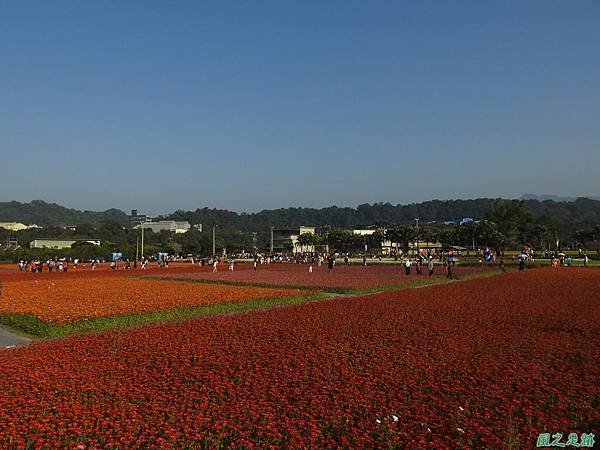 花彩節大溪場20191117(58).JPG