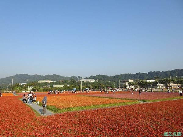 花彩節大溪場20191117(59).JPG